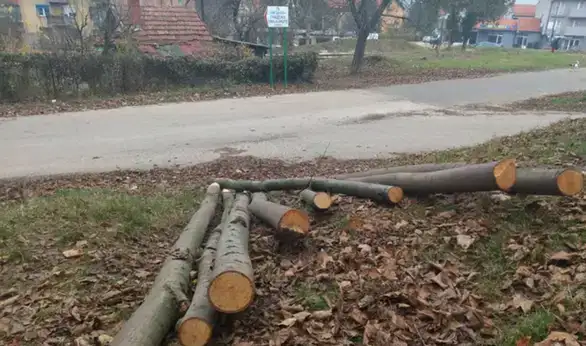 Grad Zaječar dodeljuje jednokratnu pomoć u ogrevu izbeglim i interno raseljenim licima