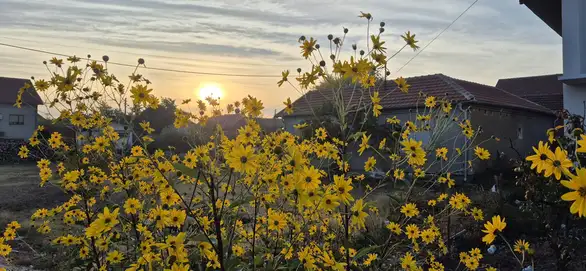Sunčano i toplo širom zemlje
