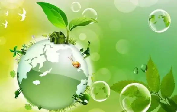 Anja i Ksenija, učenice Tehničke škole, osvojile 2. i 3. mesto na Nacionalnoj ekološkoj olimpijadi