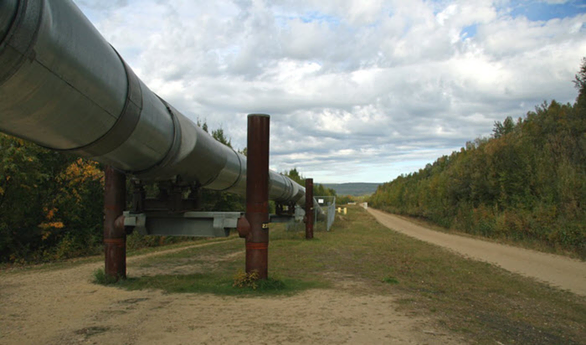 Janaf dobio dozvolu da u narednih sedam dana isporučuje naftu NIS-u