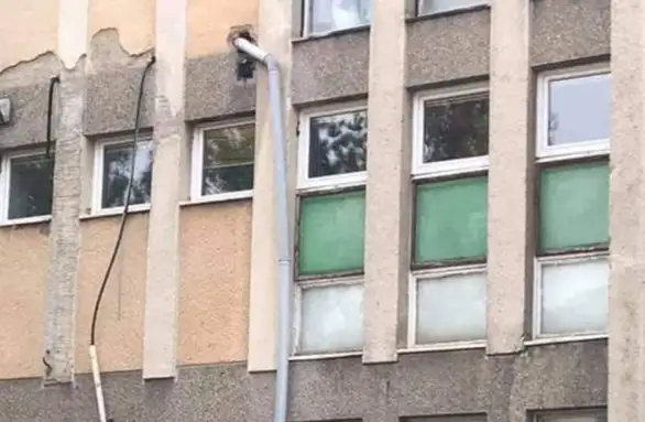 Slika dana: Demagogija, demografija, ginekologija