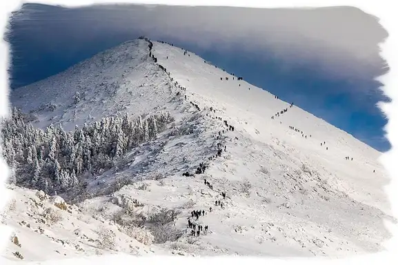 Bravo: Povređenog psa planinari spasili od smrzavanja!