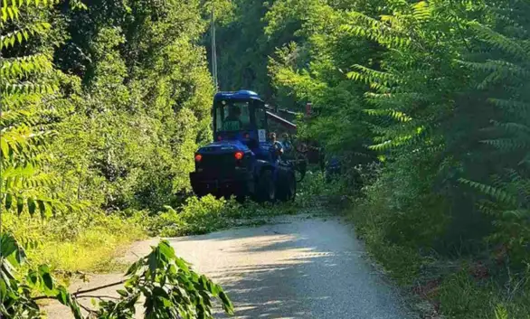 Uređen put ka Grliškom jezeru