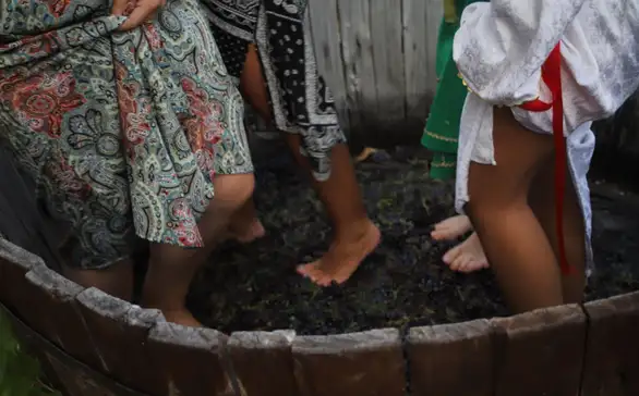 Festival vina i muzike na Rajačkim pivnicama