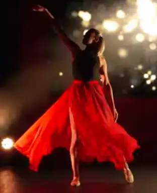 Koncerti ansambla ,,Una Saga Serbica,,