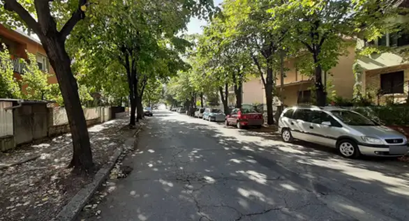 Rekonstrukcija ulice Ivana Milutinovića: Sečenje lipa ili ne?