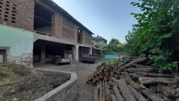 Oči u oči sa šakalom: Strahujem da će me napasti, bez vila ne idem nikuda