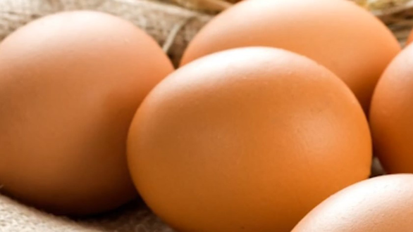 Vlada po treći put izmenila Uredbu o maržama, cena jaja odmrznuta