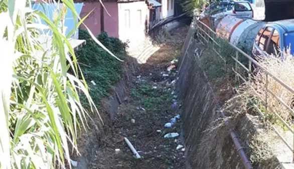 Da li jaruga u Zaječaru služi kao smetlište?