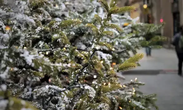 Kraj praznika, pad euforije i prazni novčanici: Kako prevazići „postprazničnu depresiju“