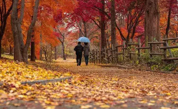 U Zaječaru oblačno i svežije vreme