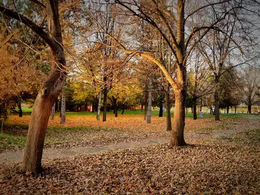 Danas toplije, od utorka opet zahlađenje