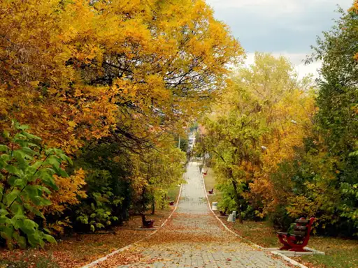 Danas jutro hladno, tokom dana sunčano