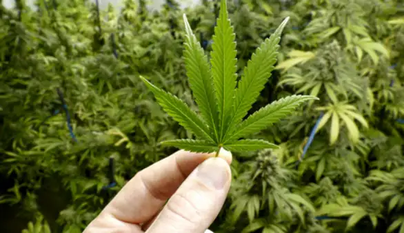 Tužilaštvo za organizovani kriminal podiglo optužnicu za slučaj Jovanjica