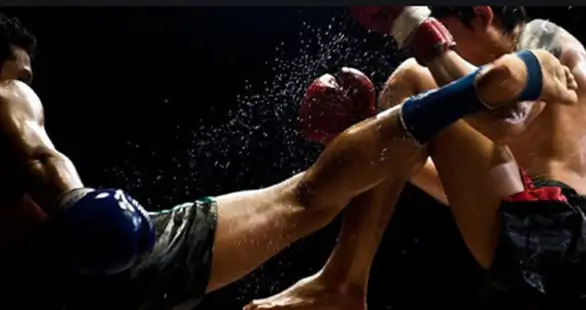 Borilački spektakl oduševio Zaječarce