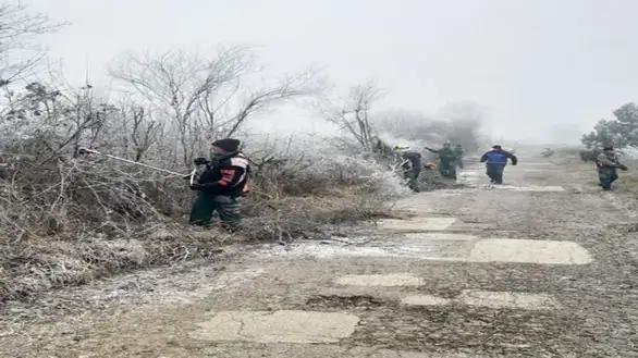 Uklonjeno šiblje i rastinje na putu Trnavac-Gradskovo