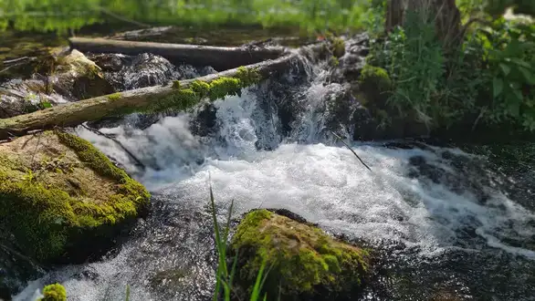 Tužilaštvo u Zaječaru formiralo predmet zbog iskopavanja na gornjem toku Crnog Timoka