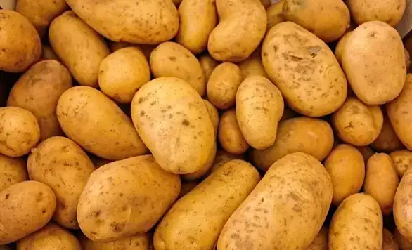 Koje povrće smo najviše uvozili tokom proteklih 20 meseci: „U Srbiji, ljudi, nema krompira“