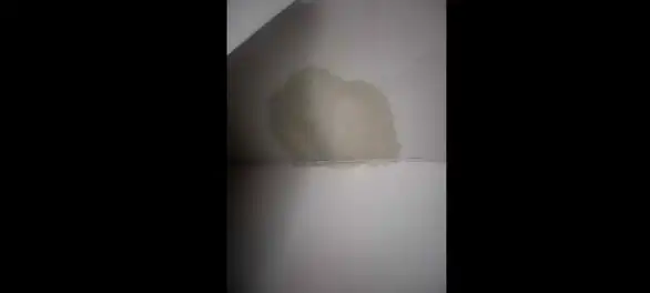 Prokišnjava krov u Muzičkoj školi, a rekonstruisan pre nekoliko godina: Zbog bezbednosti zatvoren hodnik