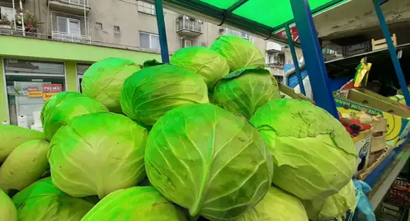 Došlo je vreme kada se kupus kiseli: Kolika je cena kupusa na pijaci u Zaječaru