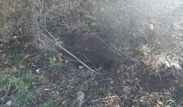 Prijavi problem: Uklonjen leš psa sa Sunčane staze