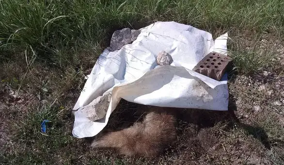 Odbornik Radomirović: "Koga to gradonačelnik obmanjuje ili su pak njega obmanuli"