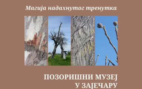 U galeriji Pozorišnog muzeja u Zaječaru izložba fotografija Nenada Sokića