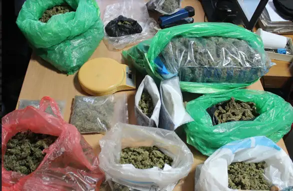 Prilikom pretresa stana pronađeni kilogram i 700 grama marihuane