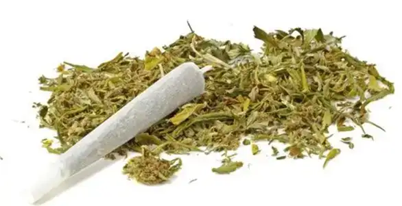 Nekad kornišoni, danas marihuana: Da li su uhapšeni mogli sami da organizuju nabavku i distribuciju toliko droge