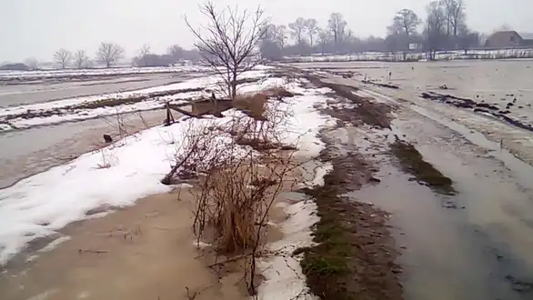 Višnjar potopili neočišćeni kanali za odvod vode