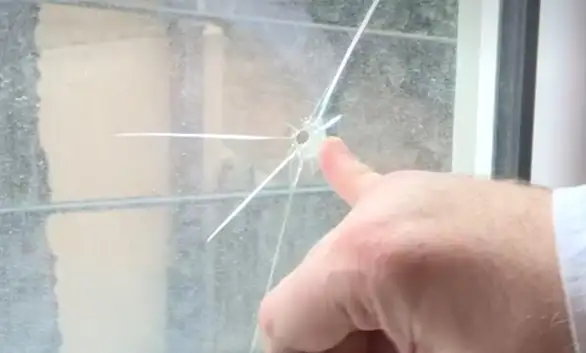 Milić: U noći između subote i nedelje pucano na moj stan