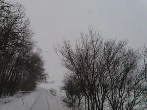 Nepoznata zver teroriše meštane naselja Markovo Polje?