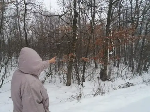 Bez panike: Meštani Markovog polja nemaju razlog za brigu?