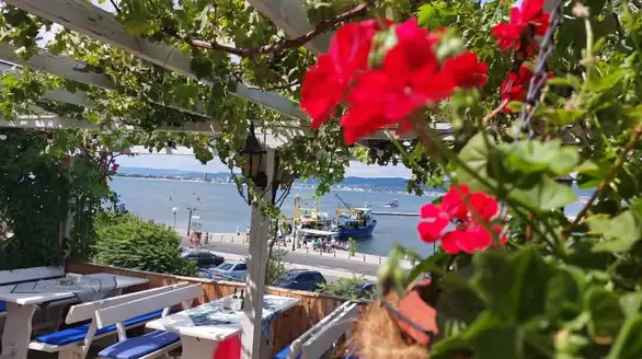 Coral Tours poklanja POTPUNO BESPLATNO LETOVANJE: Evo kako do letovanja