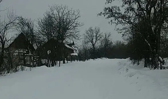 Problemi meštana naselja "Markovo Polje" (FOTO)