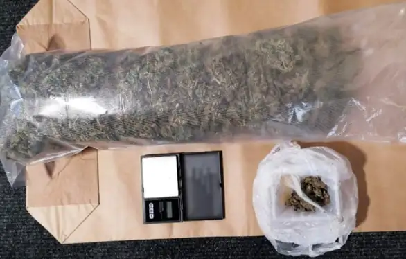 Sokobanja: Zaplenjeno oko kilogram marihuane