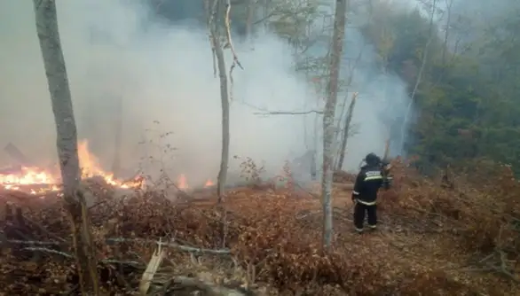 MUP: Situacija sa požarom koji je zahvatio Staru planinu znatno je povolјnija