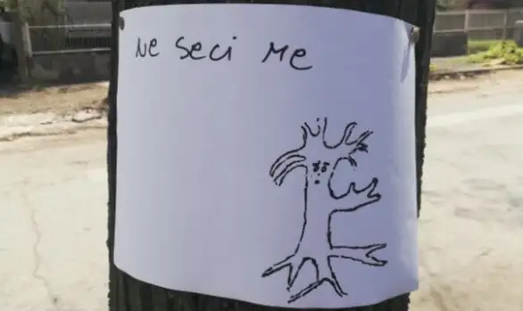 Foto dana: Na drvetu u ulici Ivana Milutinovića ostavljena poruka "Ne seci me"