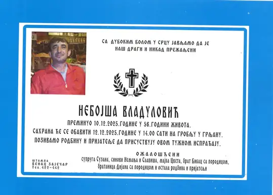 Nebojša Vladulović