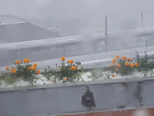 Grad naneo veliku štetu širom Srbije - zaječarski strelci na visini zadatka!