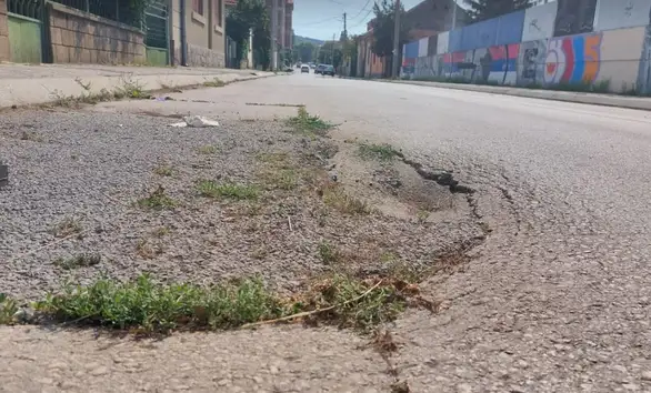 "Napredna" oaza na asfaltu u Kumanovskoj ulici u Zaječaru