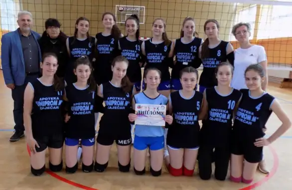 Ženska odbojkaška ekipa OŠ "Desanka Maksimović" na prvenstvu Srbije: Zaječarke najbolje na Međuokružnom takmičenju