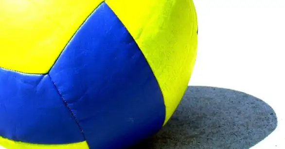 Odbojkašice Gimnazije plasirale se na Državno prvenstvo