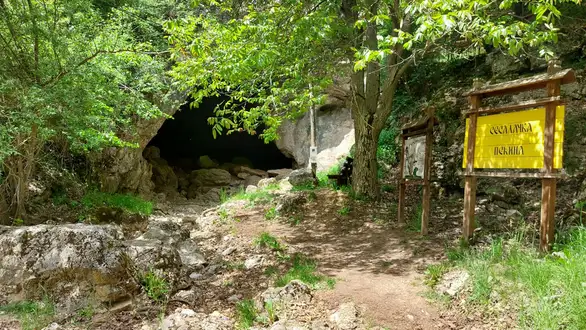 U Sesalačkoj pećini kod Sokobanje naučnici otkrili novu vrstu gljive, ime dobila po Betmenu