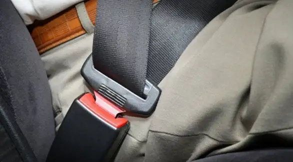 Na ekskurziji sva deca u autobusu moraće da stave pojas