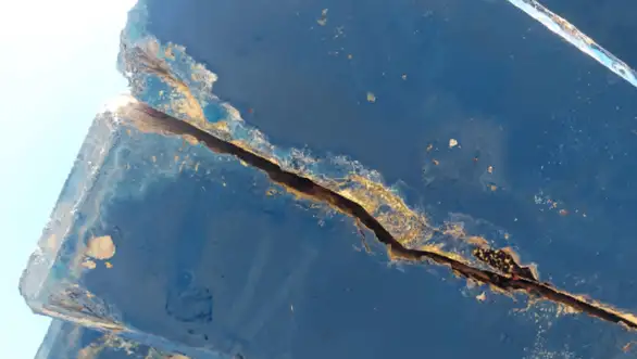 POKS Zaječar: I kamen će progovoriti protiv ove vlasti