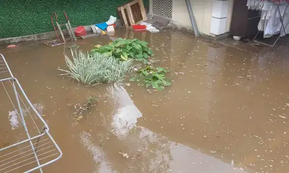Havarija na vodovodnoj mreži poplavila nekoliko dvorišta i podruma u Zaječaru