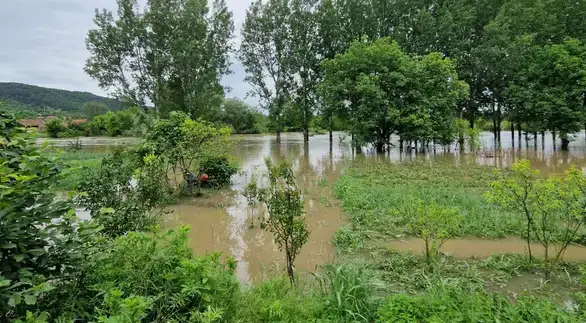 “Nas je osmoro u porodici. Kompletno je sve uništeno. Sada moramo da kupujemo namirnice”, Porodica iz Zvezdana govori za Glas Zaječara o poplavama