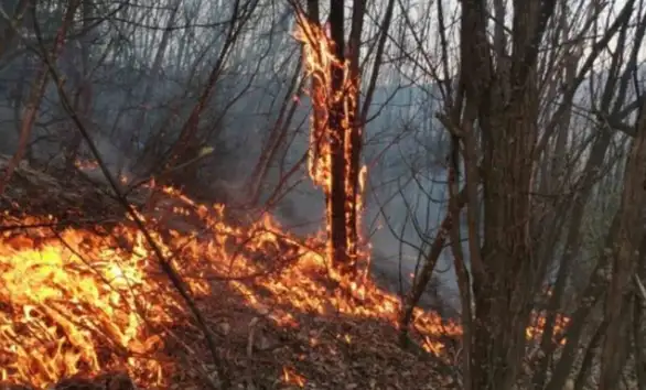 Požar u ataru sela Boravac
