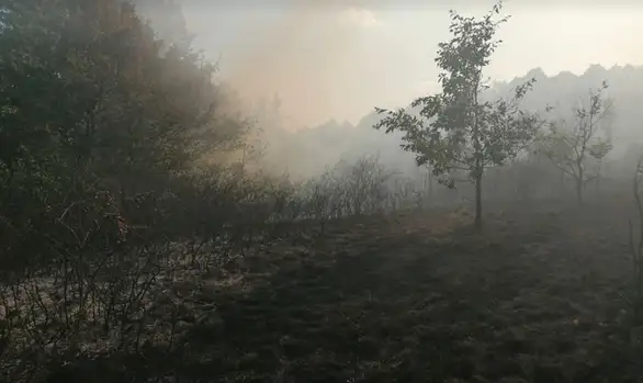 Požar na tromeđi sela Borovac, Zagrađe i Zmijanac: Vatrogasci pokušavaju da lokalizuju požar